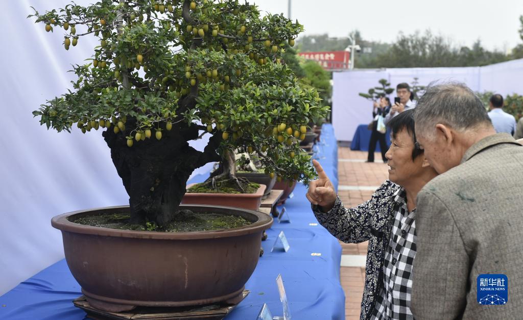 威尼斯登录官网
